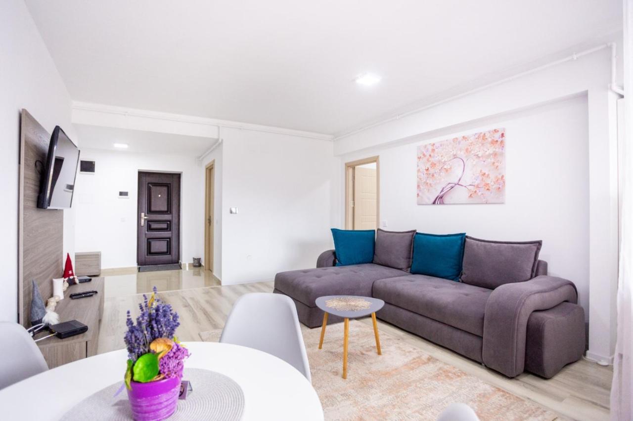 Bucegi View 39 - Colina Marei Apartment ซินายา ภายนอก รูปภาพ