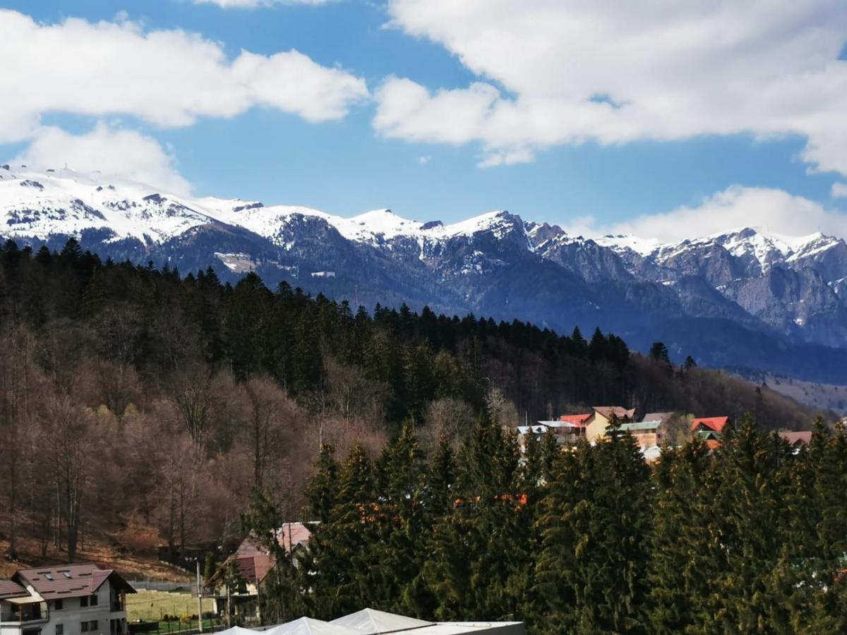 Bucegi View 39 - Colina Marei Apartment ซินายา ภายนอก รูปภาพ